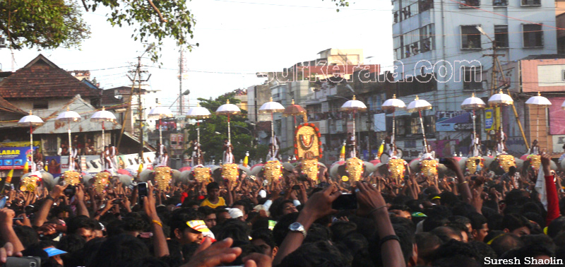thrissur-pooram-2011- (79)